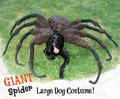 dog spider costume